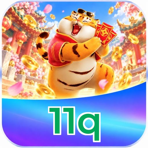 11q